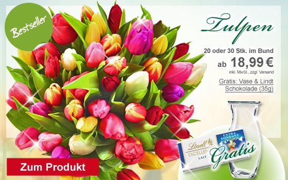 FloraPrima Bestseller - Tulpen ab 18.99